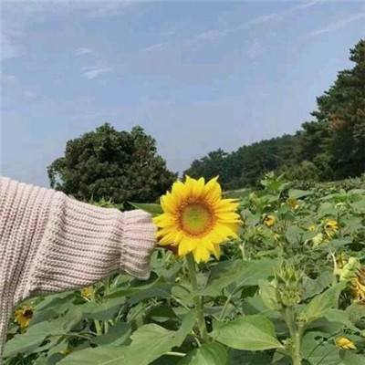 兄弟复古江湖录手游下载
